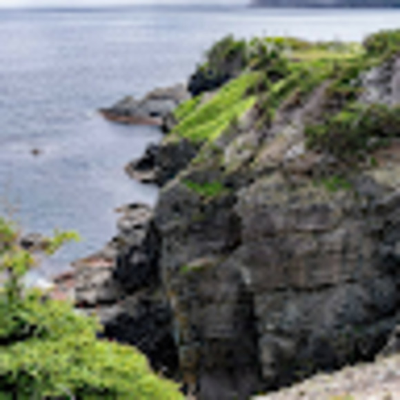 Meet your Posher, Fiona - Picture 1 of 1